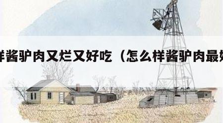 怎样酱驴肉又烂又好吃（怎么样酱驴肉最好吃）