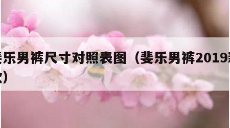斐乐男裤尺寸对照表图（斐乐男裤2019新款）