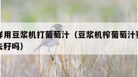 怎样用豆浆机打葡萄汁（豆浆机榨葡萄汁要去皮去籽吗）