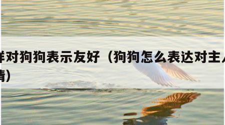 怎样对狗狗表示友好（狗狗怎么表达对主人的感情）