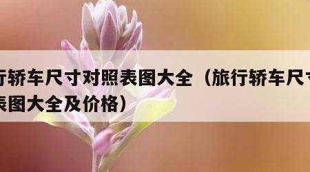 旅行轿车尺寸对照表图大全（旅行轿车尺寸对照表图大全及价格）