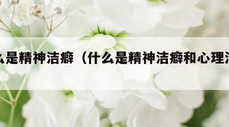 什么是精神洁癖（什么是精神洁癖和心理洁癖）