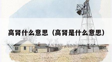 高肾什么意思（高肾是什么意思）