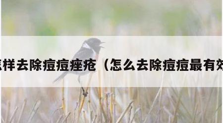 怎样去除痘痘痤疮（怎么去除痘痘最有效）