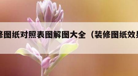 装修图纸对照表图解图大全（装修图纸效果图）