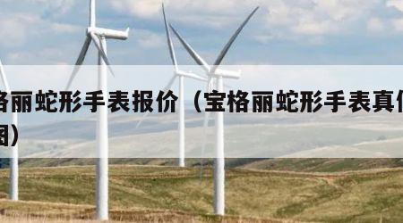 宝格丽蛇形手表报价（宝格丽蛇形手表真假对照图）