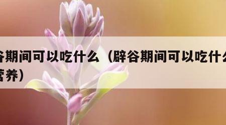辟谷期间可以吃什么（辟谷期间可以吃什么补充营养）