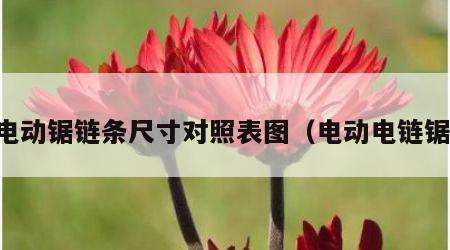 电动锯链条尺寸对照表图（电动电链锯）