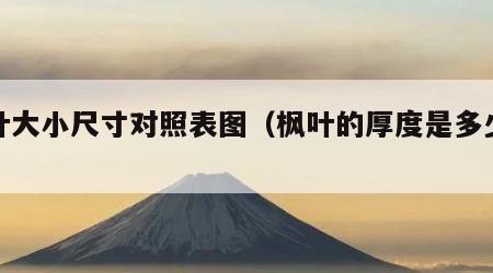枫叶大小尺寸对照表图（枫叶的厚度是多少毫米）