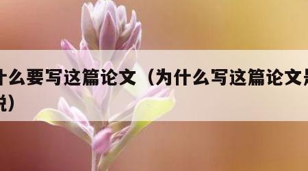 为什么要写这篇论文（为什么写这篇论文是怎么说）