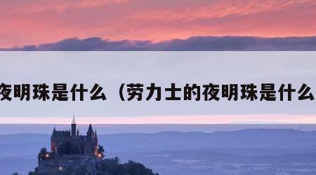 夜明珠是什么（劳力士的夜明珠是什么）