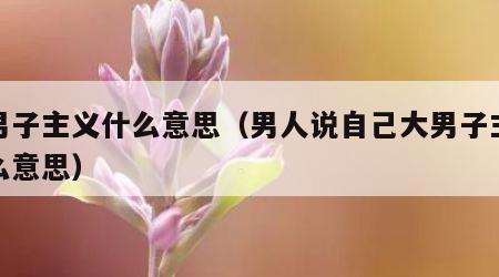 大男子主义什么意思（男人说自己大男子主义什么意思）