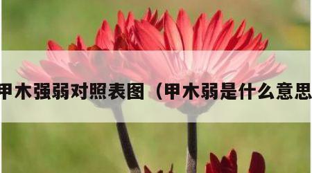 甲木强弱对照表图（甲木弱是什么意思）