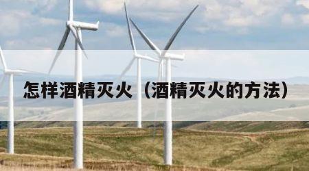 怎样酒精灭火（酒精灭火的方法）