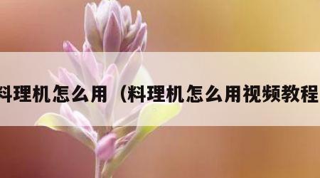 料理机怎么用（料理机怎么用视频教程）