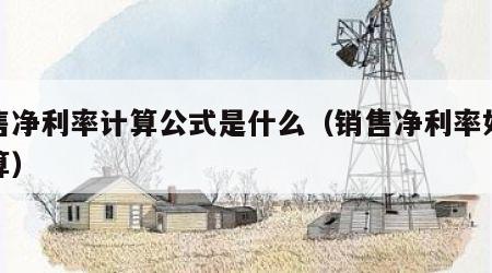 销售净利率计算公式是什么（销售净利率如何计算）