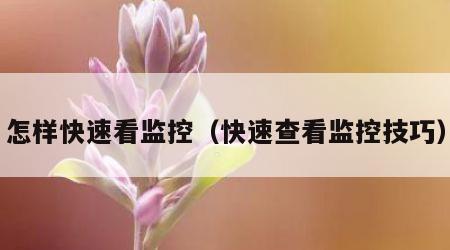 怎样快速看监控（快速查看监控技巧）