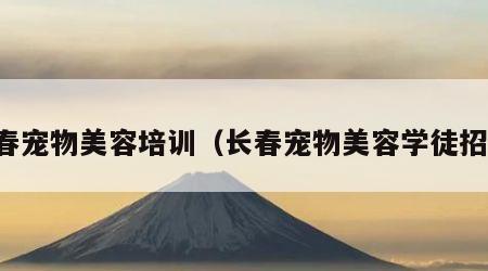 长春宠物美容培训（长春宠物美容学徒招聘）