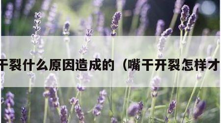 嘴干裂什么原因造成的（嘴干开裂怎样才好）