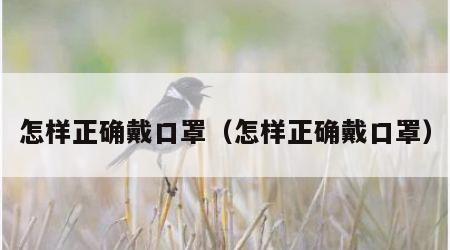 怎样正确戴口罩（怎样正确戴口罩）
