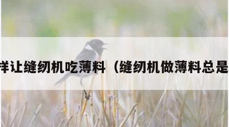 怎样让缝纫机吃薄料（缝纫机做薄料总是赶）