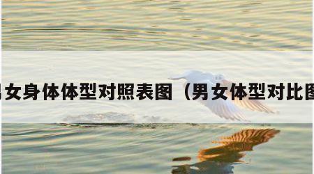 男女身体体型对照表图（男女体型对比图）