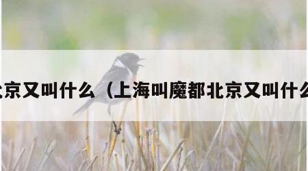 北京又叫什么（上海叫魔都北京又叫什么）