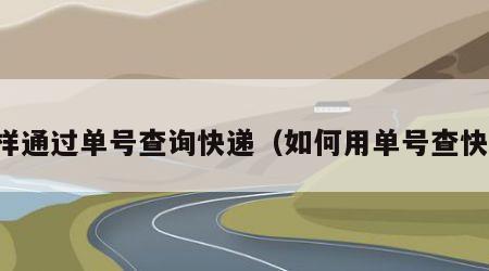 怎样通过单号查询快递（如何用单号查快递）