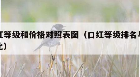 口红等级和价格对照表图（口红等级排名与鞋对比）
