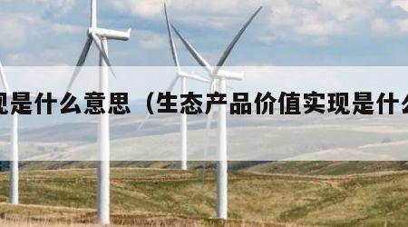 实现是什么意思（生态产品价值实现是什么意思）