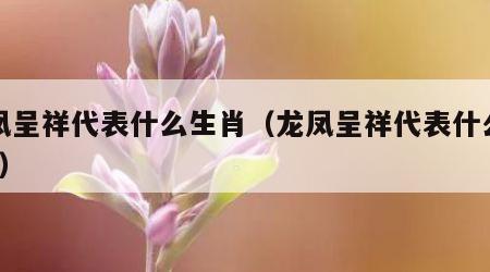 龙凤呈祥代表什么生肖（龙凤呈祥代表什么生肖?）