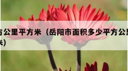 平方公里平方米（岳阳市面积多少平方公里平方米）