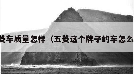 五菱车质量怎样（五菱这个牌子的车怎么样）