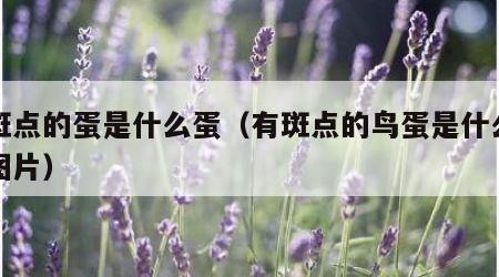 有斑点的蛋是什么蛋（有斑点的鸟蛋是什么品种图片）