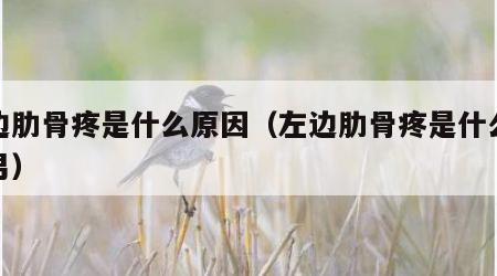 左边肋骨疼是什么原因（左边肋骨疼是什么原因男）