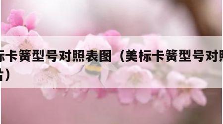 美标卡簧型号对照表图（美标卡簧型号对照表图片）