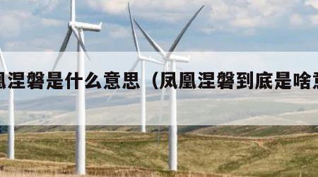 凤凰涅磐是什么意思（凤凰涅磐到底是啥意思啊）