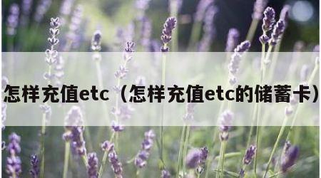 怎样充值etc（怎样充值etc的储蓄卡）