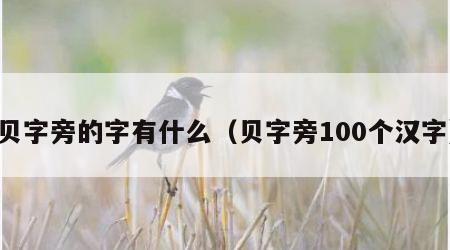 贝字旁的字有什么（贝字旁100个汉字）