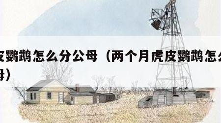 虎皮鹦鹉怎么分公母（两个月虎皮鹦鹉怎么分公母）