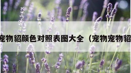 宠物貂颜色对照表图大全（宠物宠物貂）