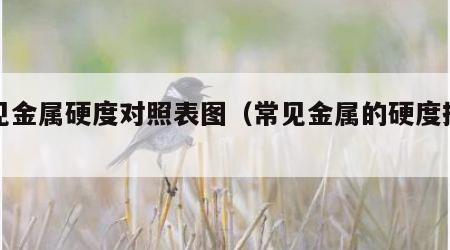 常见金属硬度对照表图（常见金属的硬度排列）