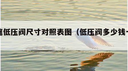 家庭低压阀尺寸对照表图（低压阀多少钱一个）