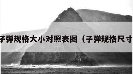 子弹规格大小对照表图（子弹规格尺寸）