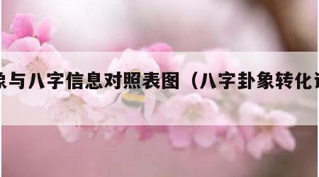 卦象与八字信息对照表图（八字卦象转化讲解）