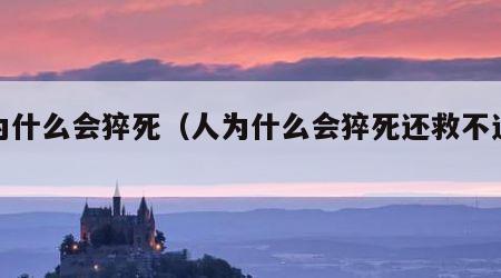 人为什么会猝死（人为什么会猝死还救不过来）