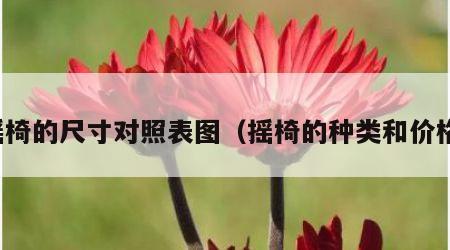 摇椅的尺寸对照表图（摇椅的种类和价格）