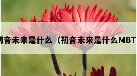 初音未来是什么（初音未来是什么MBTI）