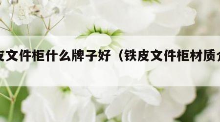 铁皮文件柜什么牌子好（铁皮文件柜材质介绍）