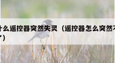 为什么遥控器突然失灵（遥控器怎么突然不好使了）